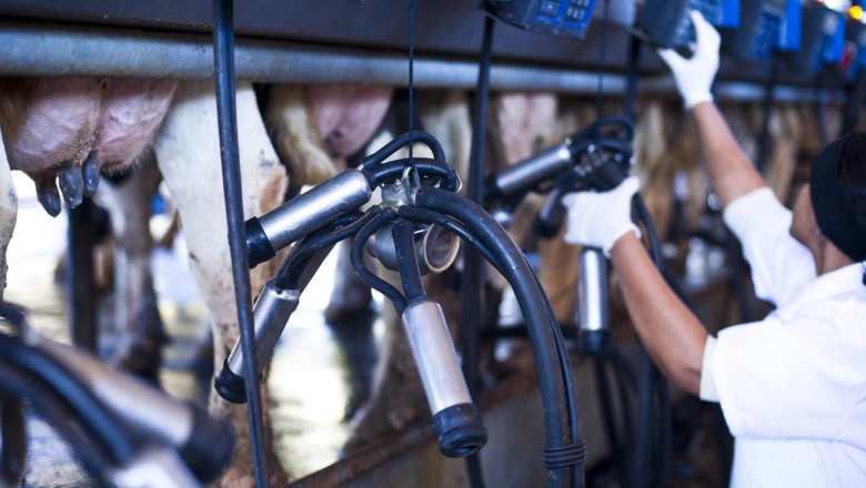 Preço do leite no RS sobe 6,7% em junho com queda na captação durante greve