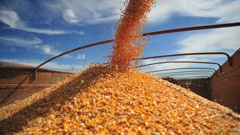 Preços do milho seguirão pressionados com colheita da safrinha no País