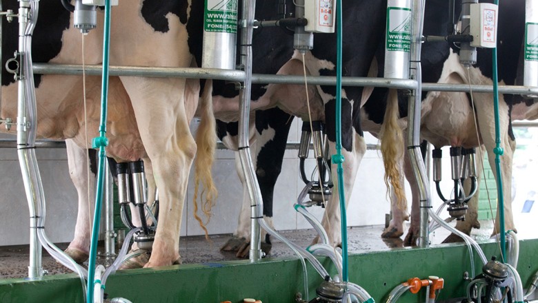 Após greve, oferta de leite no Brasil deve recuar 9%