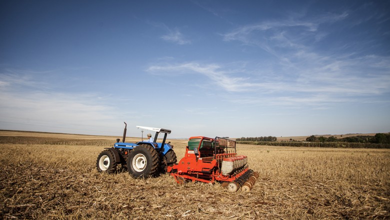 Área de plantio da SLC Agrícola em 2018/19 deve crescer 12,8%