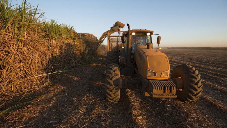 INTL FCStone: moagem de cana no Centro-Sul em 2018/19 deve cair 3,8%