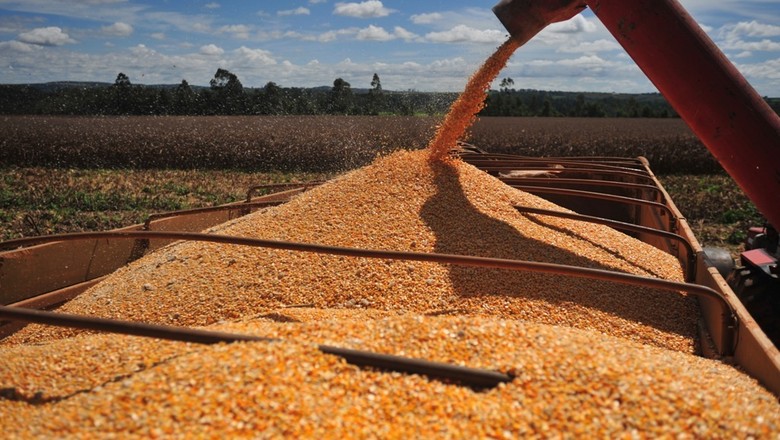 Apesar de avanço da colheita, preços do milho sobem