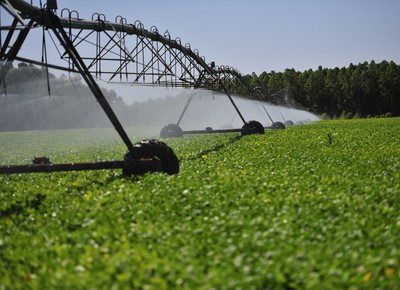 PIB da agropecuária caiu 0,4% na comparação com 2º trimestre de 2017