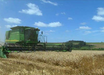 Emater/RS: clima favorece lavouras de trigo, mas afeta pastagens