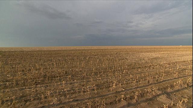 Após perda por seca, Alemanha auxilia agricultores com € 340 milhões