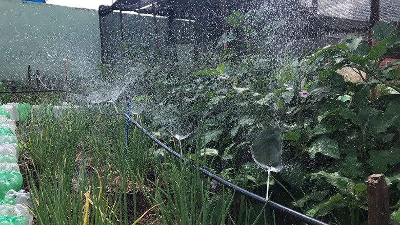 Irrigação: como construir um sistema caseiro e de baixo custo