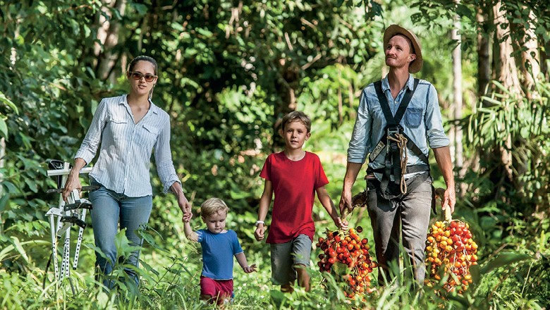 A nova economia da Amazônia
