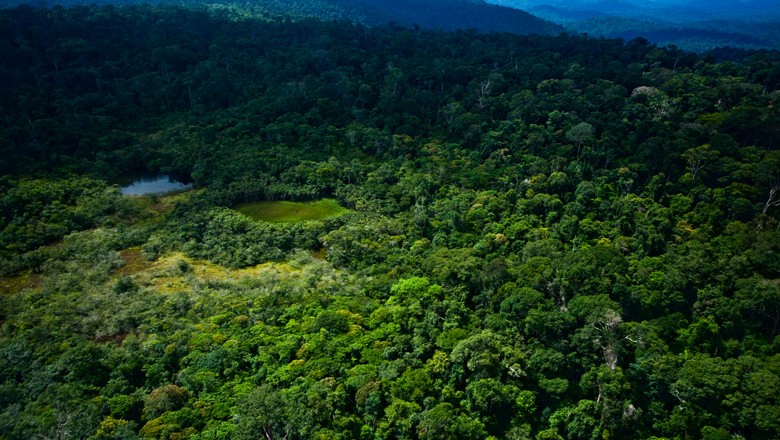 Compensação da Reserva Legal: saiba como funciona