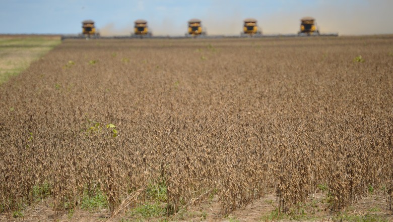 AgRural eleva previsão de área de soja do Brasil em 2018/2019