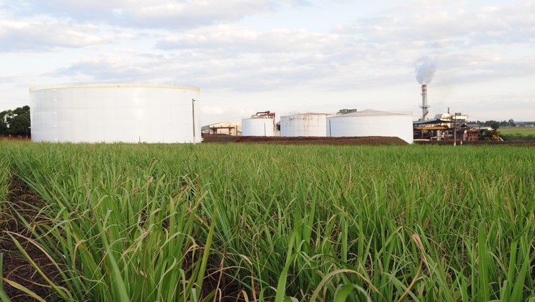 INTL FCStone reduz previsão de moagem e aponta maior produção de etanol