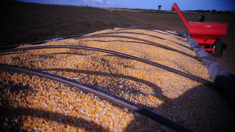 BrasilAgro contrata arrendamento de 23,5 mil hectares em MT para grãos