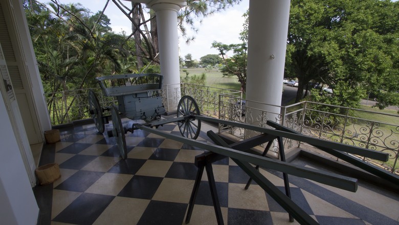 Fotos: conheça o Museu da Esalq, em Piracicaba