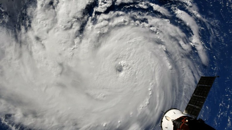 Após Florence, indústria pode transferir plantéis de suínos de áreas