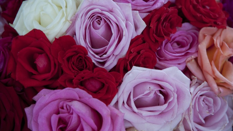 Como plantar cinco flores perfumadas para ter em casa
