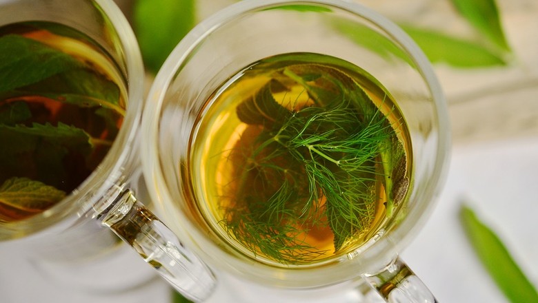 Chás: como cultivar oito plantas para fazer a bebida em casa