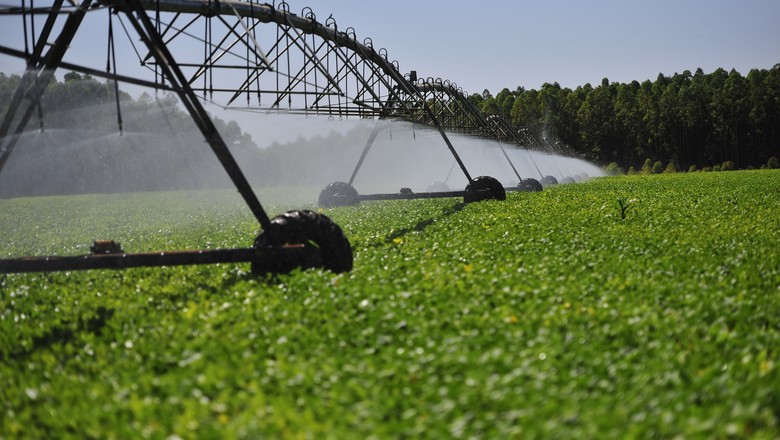Agro deve crescer 1,5% neste ano e 2% em 2019, projeta Banco Central