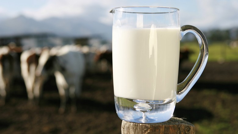 Preço pago ao produtor de leite gaúcho cai 3,78% em setembro
