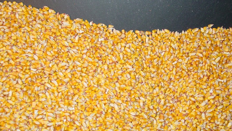 Capacidade de armazenamento de grão australiana pode atingir 20 mi de t.