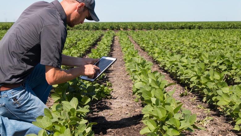 Embrapa abre inscrições para programa que financia inovação no agro