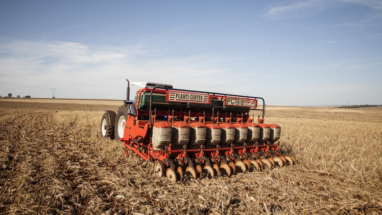 Plantio de soja no Paraná atinge 38%; colheita de trigo alcança 62%