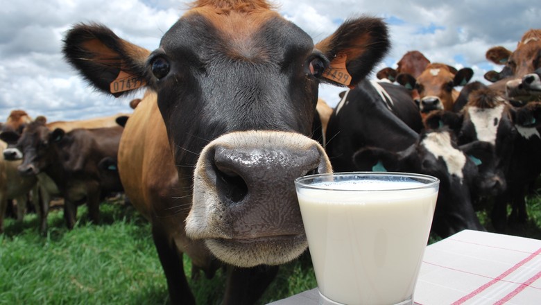 Embrapa abre inscrições de desafio para startups da cadeia do leite