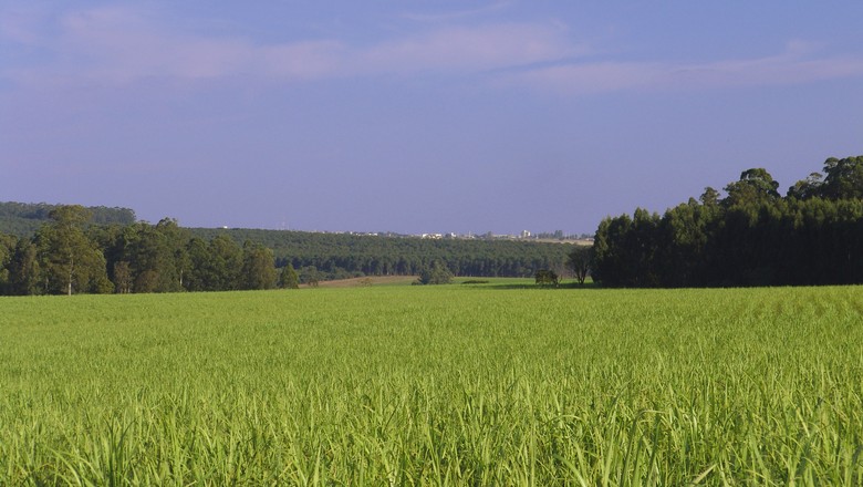 CNA encaminha propostas para Plano Trienal do Seguro Rural 2019/2021