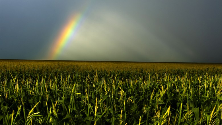 El Niño e La Niña: efeitos no clima e na agricultura