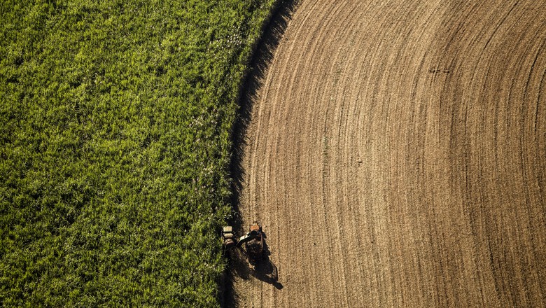 Como o agronegócio vence a crise?