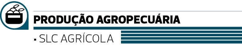 Algodão na liderança