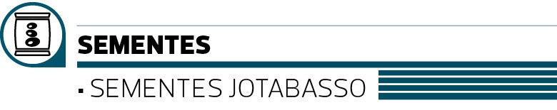 A força na semente
