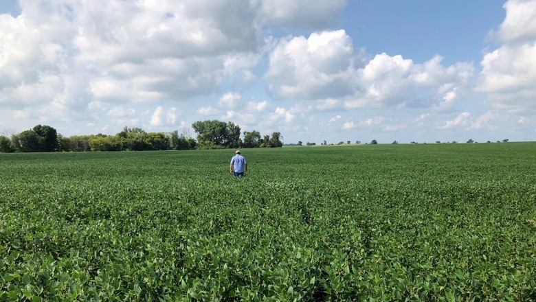 USDA reduz estimativas de produção de soja e milho nos EUA