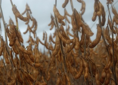Produção de biodiesel pode chegar a 10 bilhões de litros até 2023
