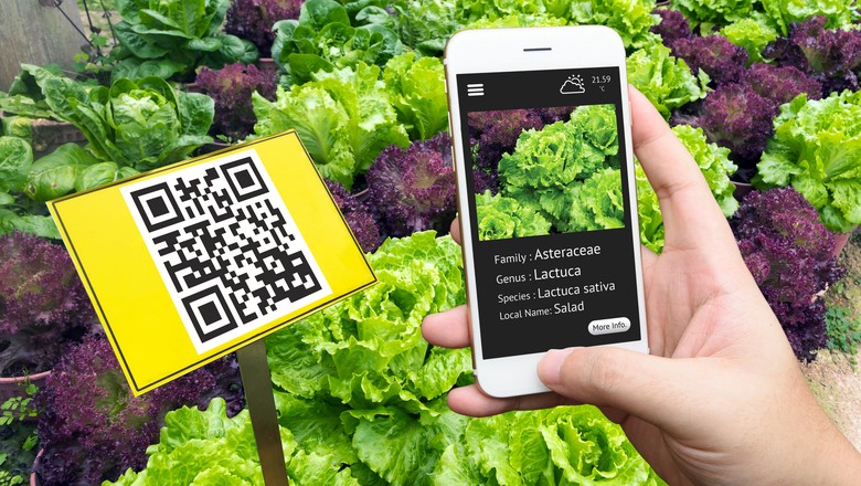 Programa busca startups de agro focadas em Internet das Coisas (IoT)