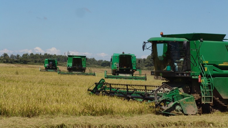 Inflação de custo de produção sobe 3,68% no Rio Grande do Sul