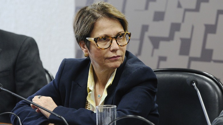 Quem desmata a Amazônia são "bandidos da floresta, e não o produtor", diz Tereza Cristina
