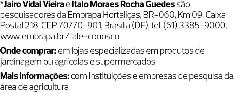 Salsinha
