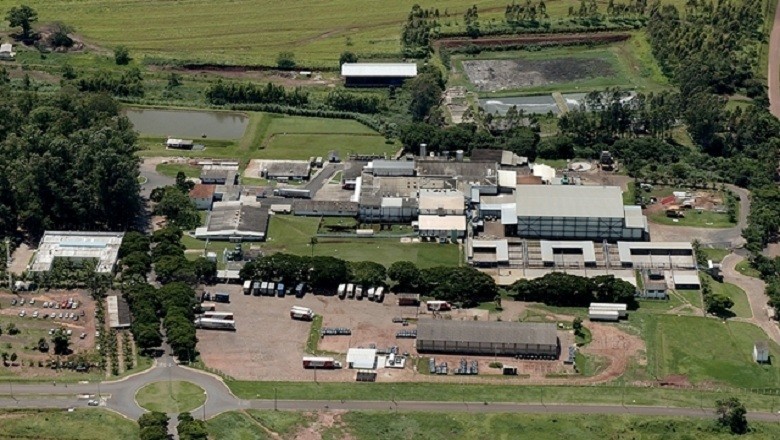 Minerva: estratégia é diversificação geográfica; queremos minimizar risco Brasil
