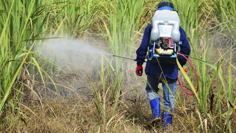 O termo agrotóxico existe só no Brasil, diz professor da Esalq