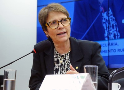Parceira da JBS, Tereza Cristina concedeu incentivos fiscais à empresa em MS, diz jornal