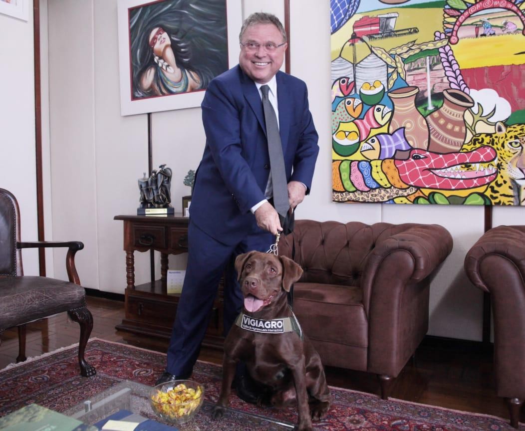 Brasil regulamenta uso de cães para fiscalização agropecuária