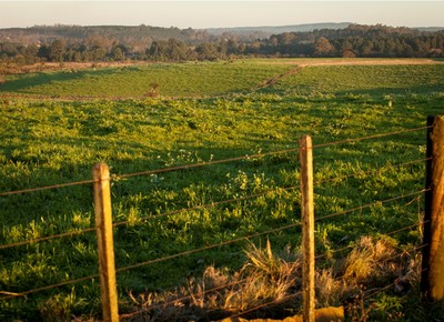 Base do novo governo derruba pedido de urgência de projeto sobre Funrural