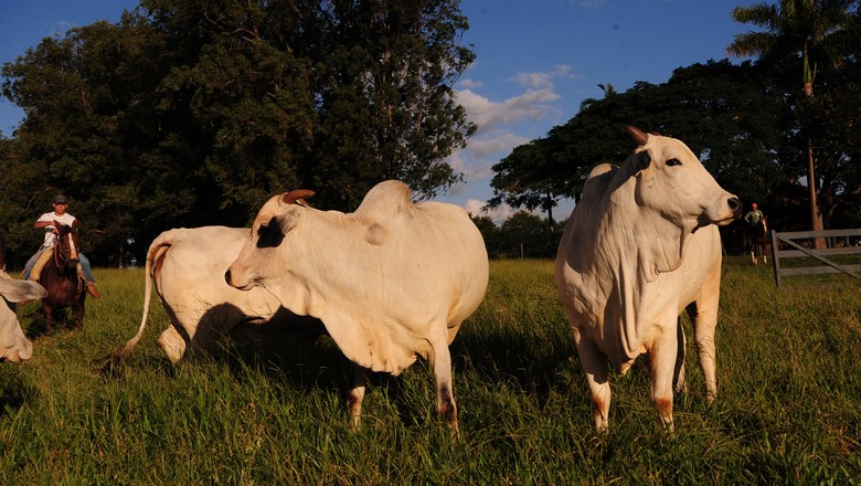 Agro reduziu ligeiramente emissões de gases do efeito estufa em 2017