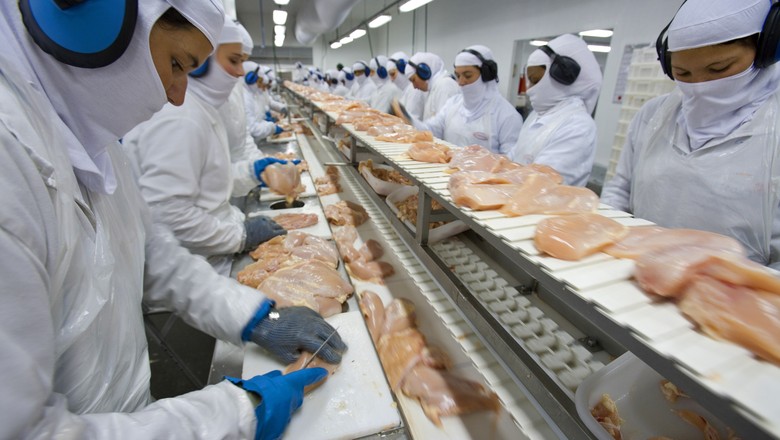 Custos de produção de frango e suíno caíram em outubro, segundo a Embrapa