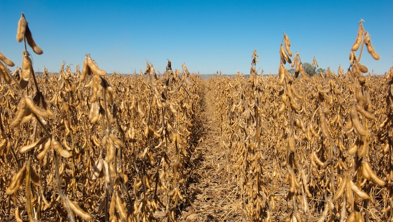 China fortalece agricultura em meio a conflitos comerciais