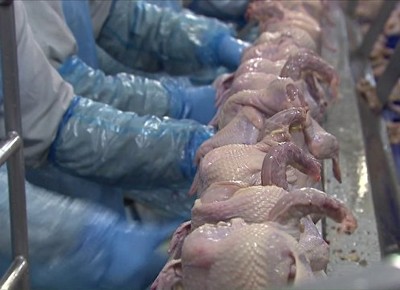 Maior demanda eleva preços do frango e do ovo