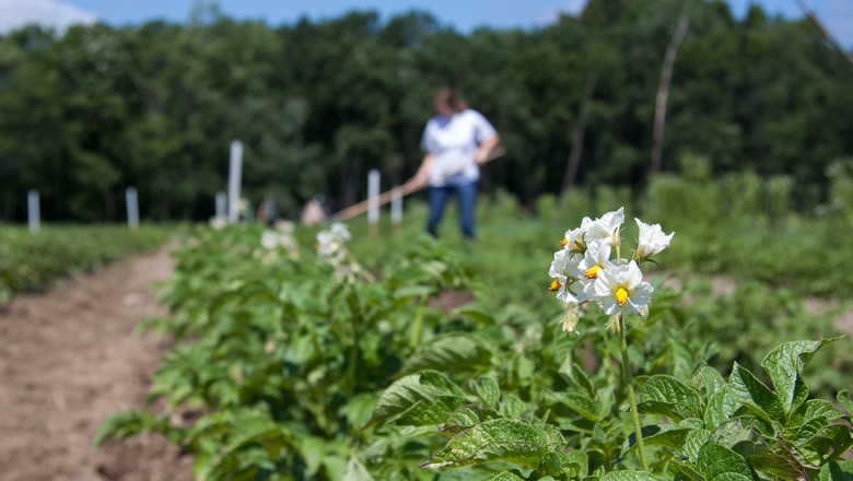 Retrospectiva 2018: as matérias mais legais sobre a Vida na Fazenda