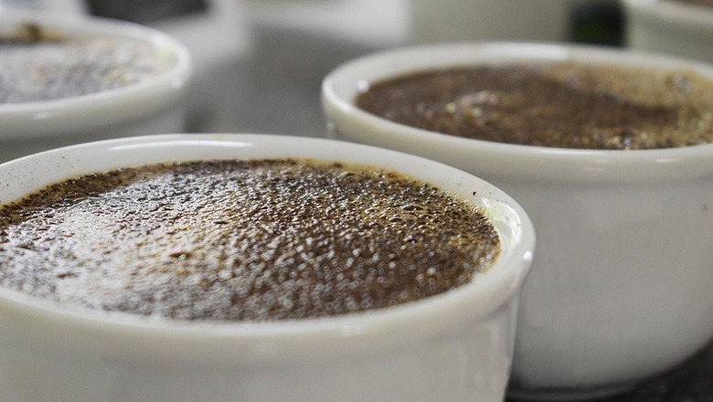 Exportação de café solúvel cresce 8,6% em novembro