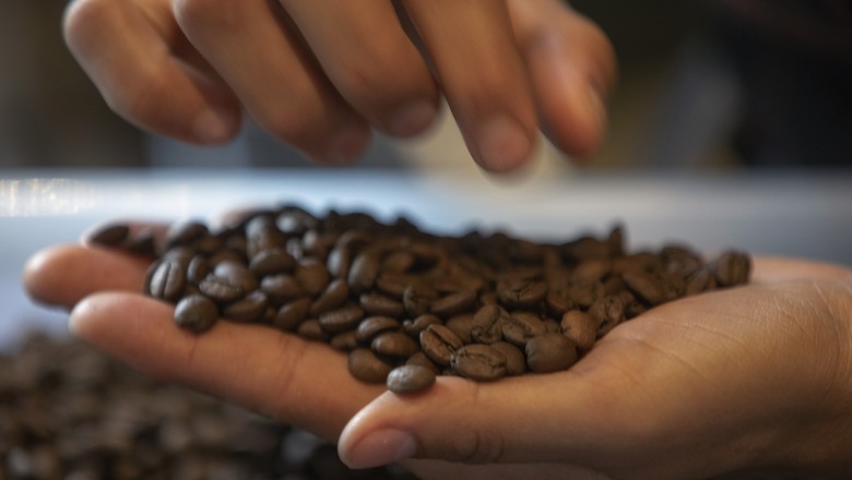 Cepea: feriados travaram o mercado de café em novembro