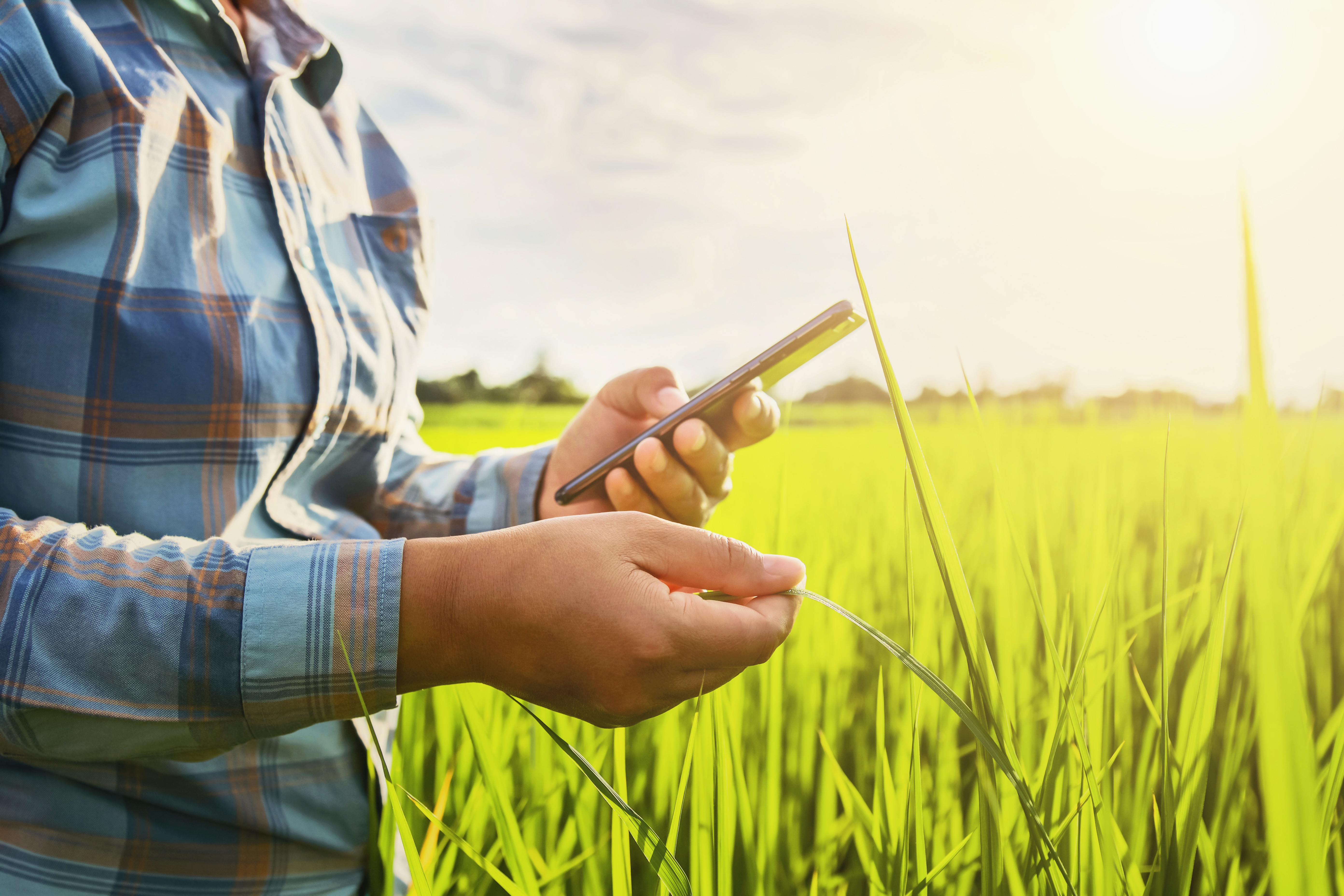 Tecnologia acessível no campo
