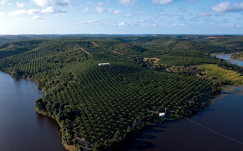 Fazenda Obrigado, 2ª colocada no Prêmio Fazenda Sustentável